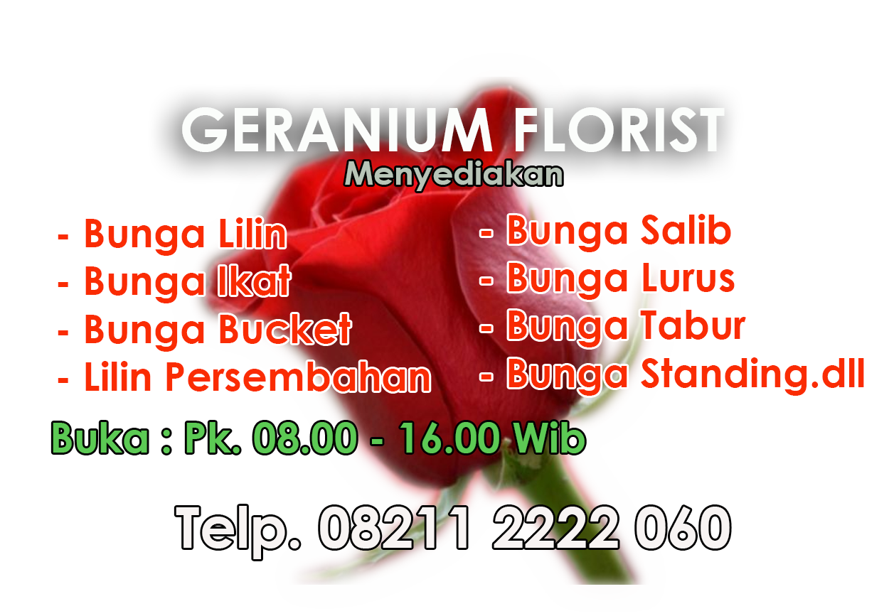 Geranium-300x208 transparent